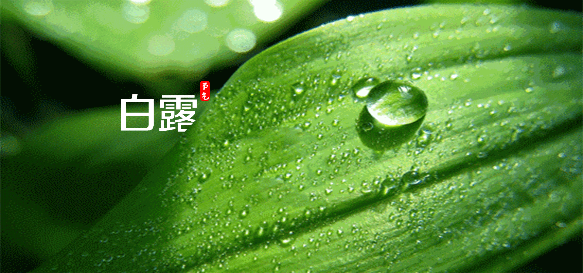 新城校区