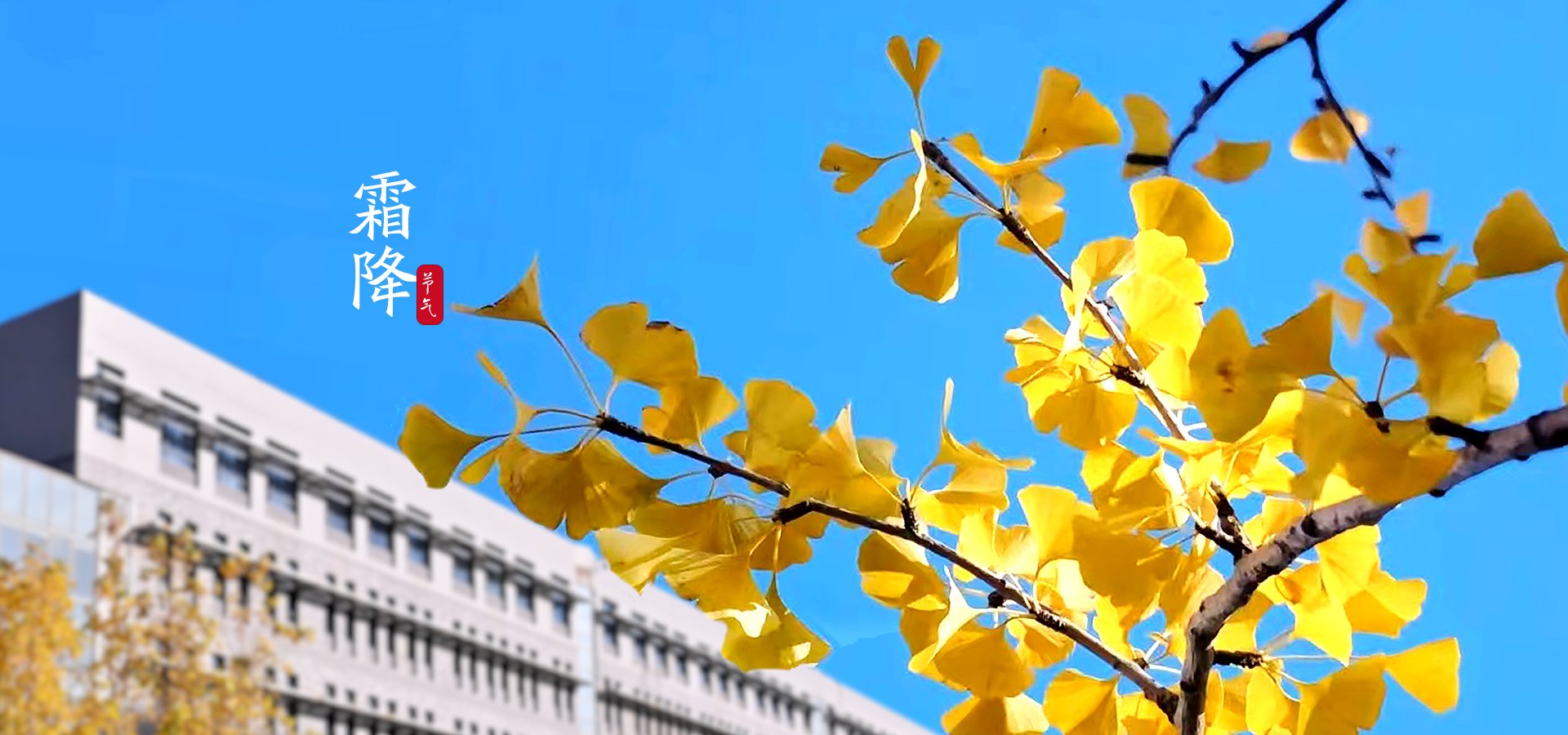 © rosquet.com 浩搏平台